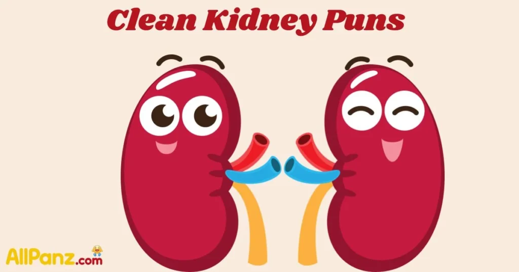 Clean Kidney Puns