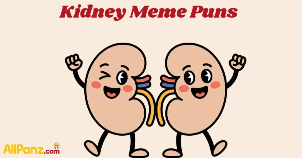 Kidney Meme Puns