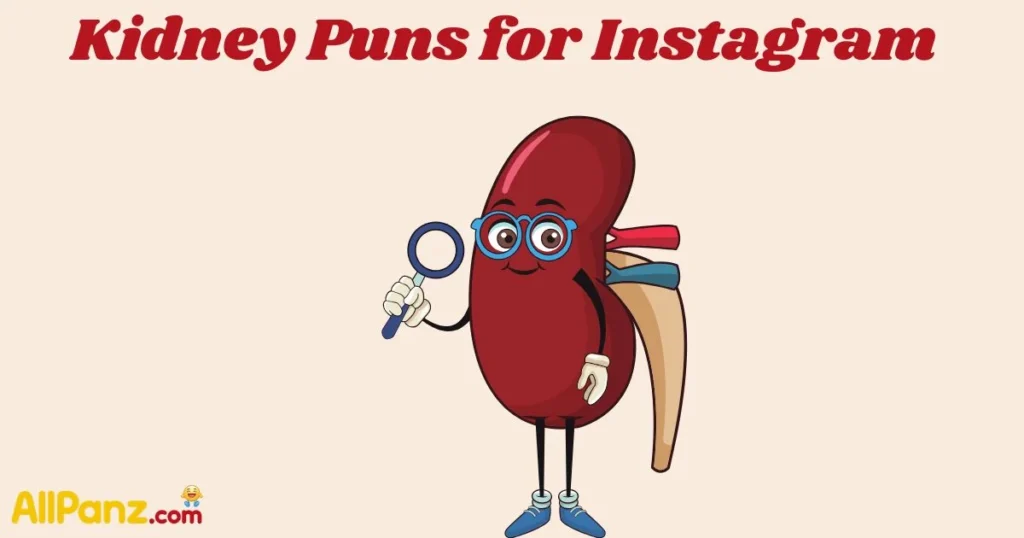 Kidney Puns For Instagram