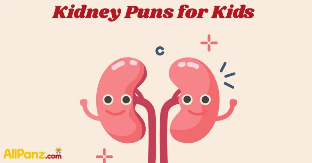 Kidney Puns For Kids