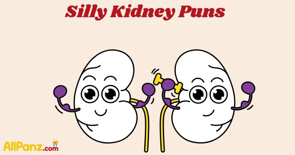 Silly Kidney Puns