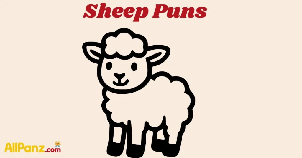 Sheep Puns