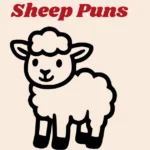 Sheep Puns