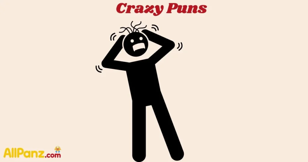 Crazy Puns