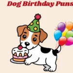 Dog Birthday Puns