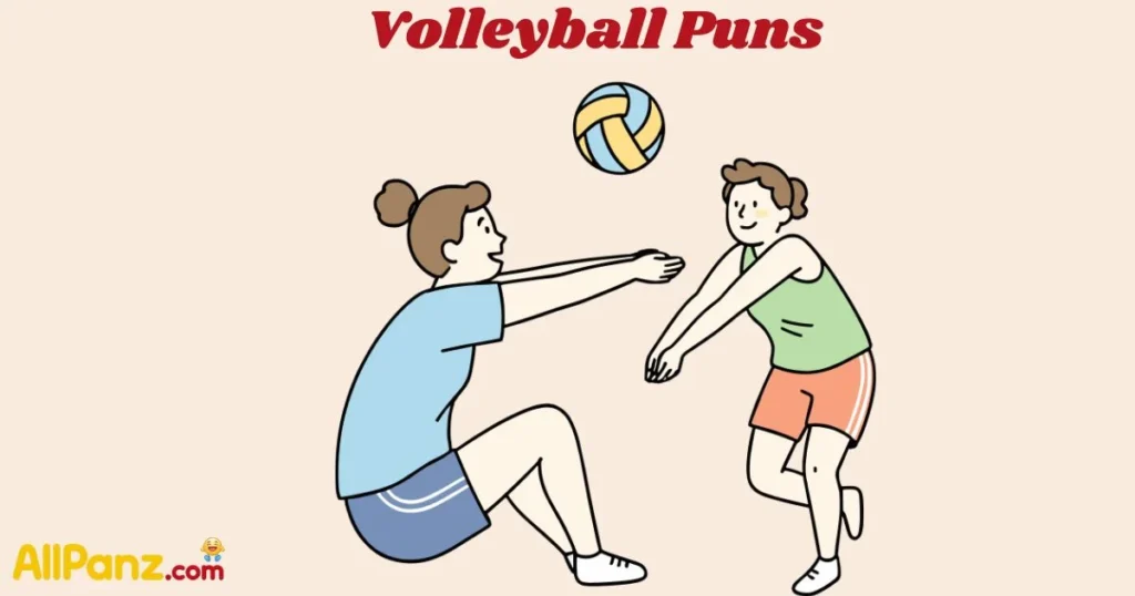 Volleyball Puns