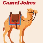 Camel Jokes