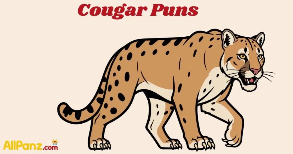 Cougar Puns