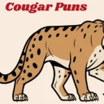 Cougar Puns