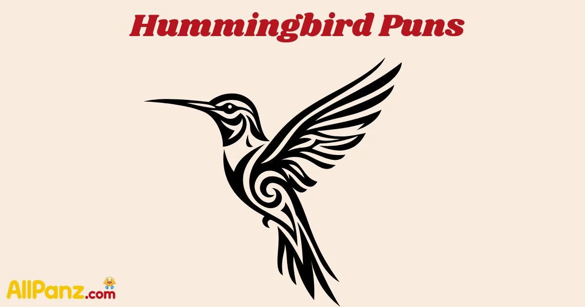 Hummingbird Puns