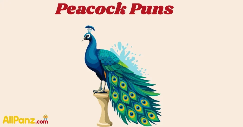 Peacock Puns