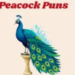 Peacock Puns