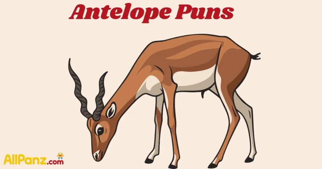 Antelope Puns