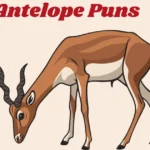 Antelope Puns