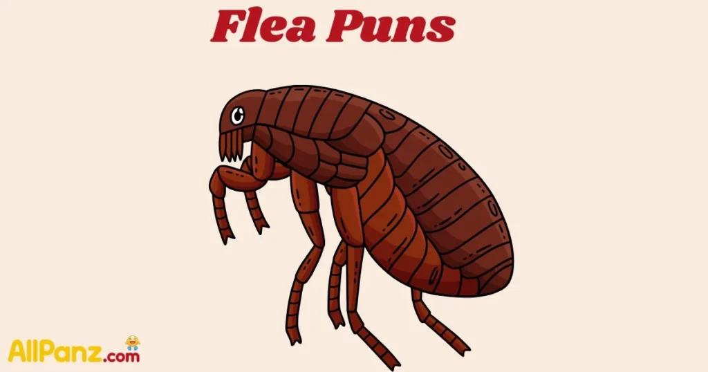 Flea Puns
