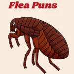 Flea Puns