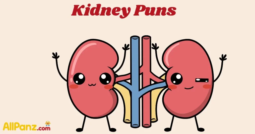 Kidney Puns