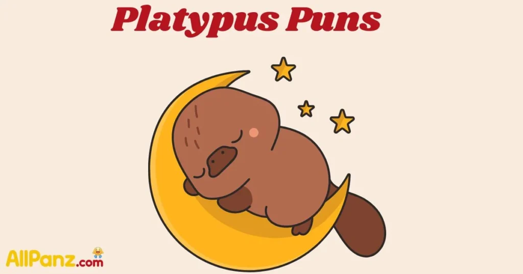 Platypus Puns