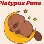 Platypus Puns